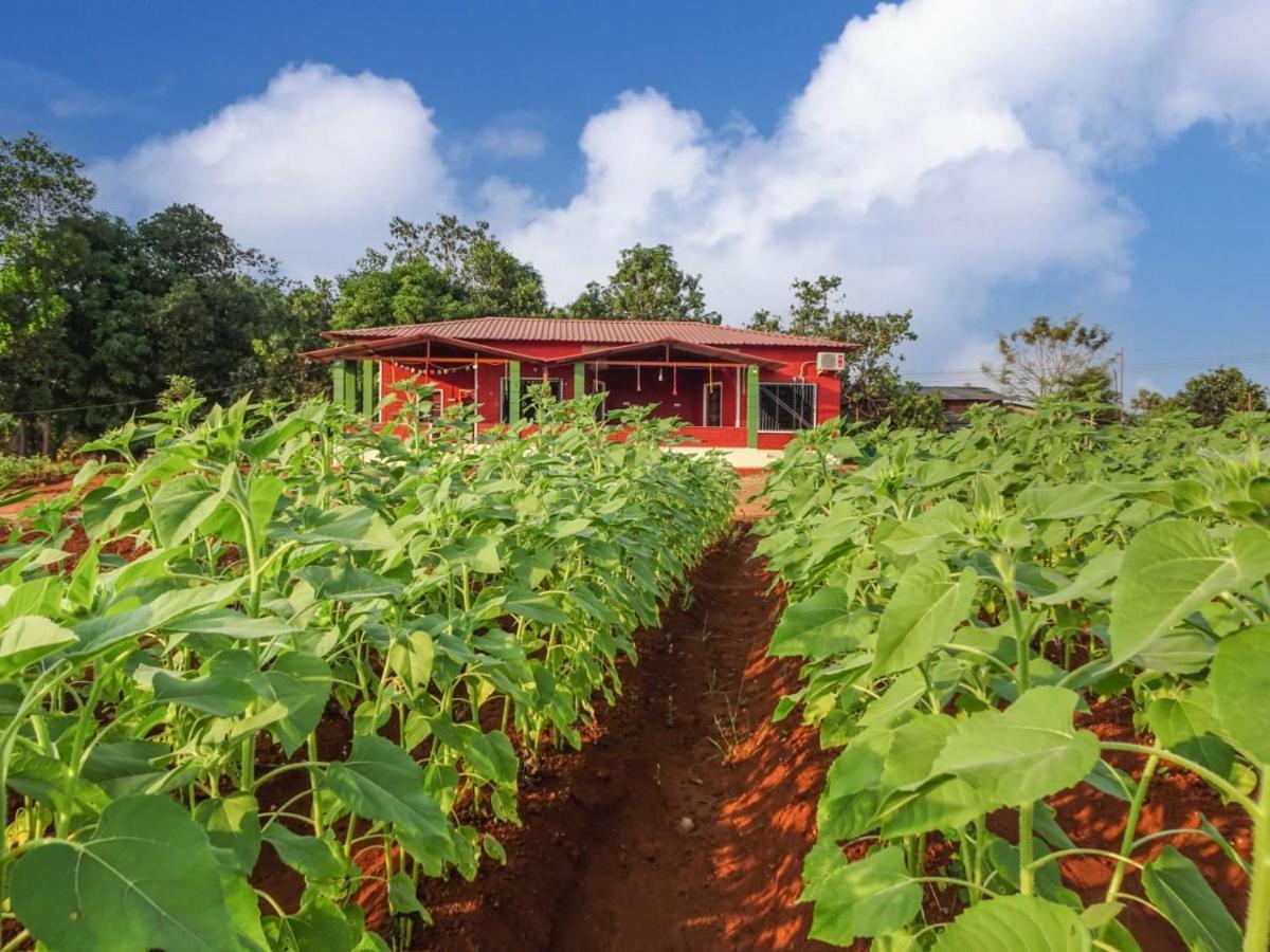 Aarya Farm Bed & Breakfast Bhom Ngoại thất bức ảnh