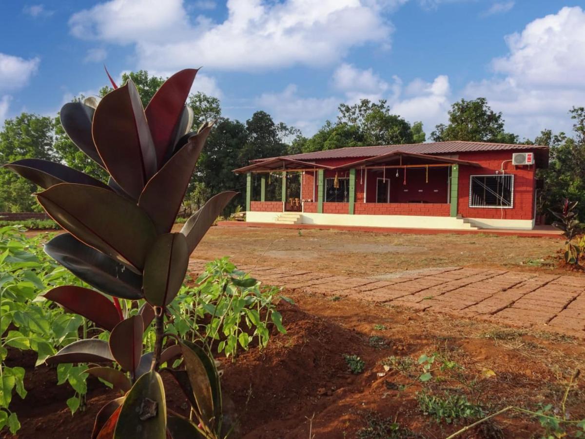 Aarya Farm Bed & Breakfast Bhom Ngoại thất bức ảnh